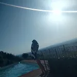 Unique Experience Crete Senesi Hills Vescona