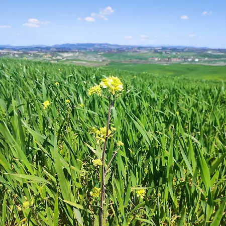 Апартаменты Unique Experience Crete Senesi Hills