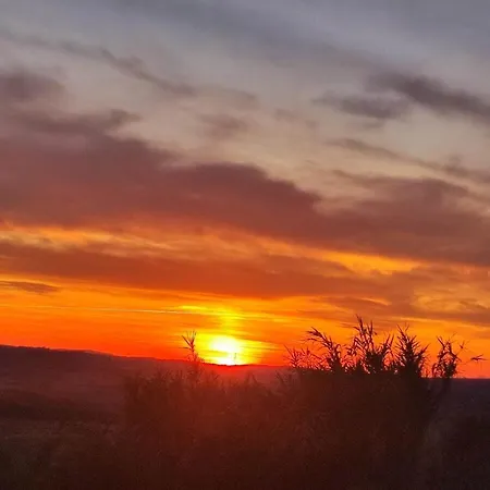 شقة Unique Experience Crete Senesi Hills Vescona